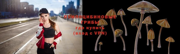 каннабис Майский