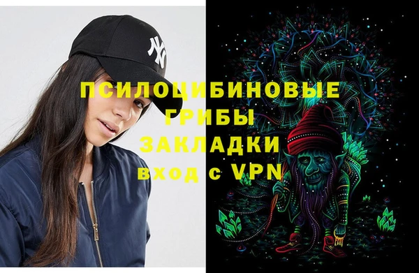 ПСИЛОЦИБИНОВЫЕ ГРИБЫ Лабытнанги