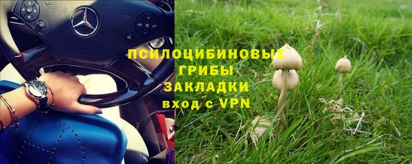 дурь Ладушкин
