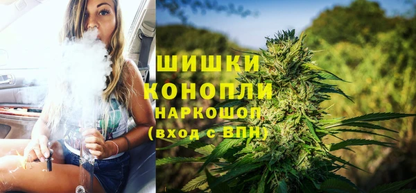 дурь Ладушкин
