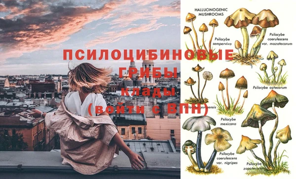 дурь Ладушкин