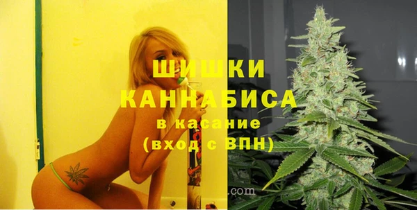 ПСИЛОЦИБИНОВЫЕ ГРИБЫ Лабытнанги