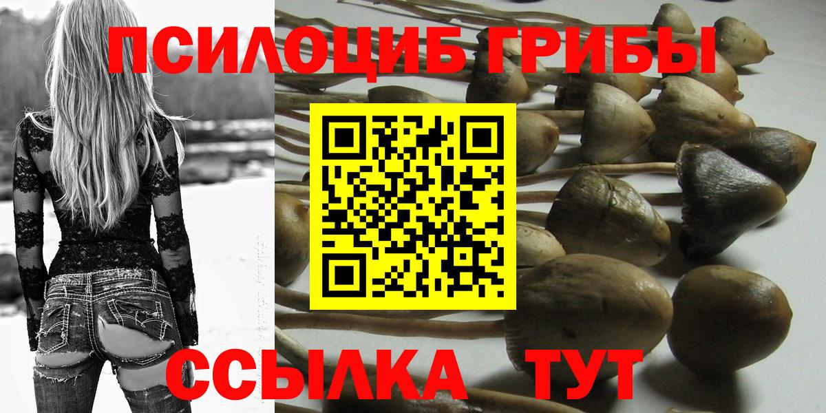 Псилоцибиновые грибы мухоморы Балашиха