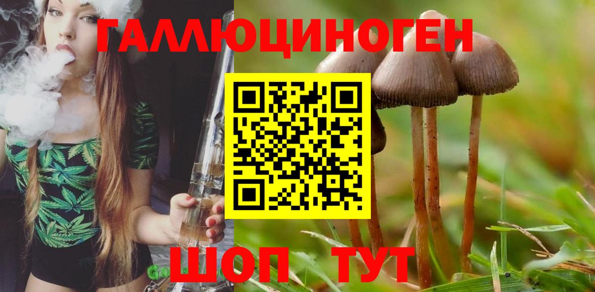 Псилоцибиновые грибы прущие грибы  хочу наркоту  Балашиха 