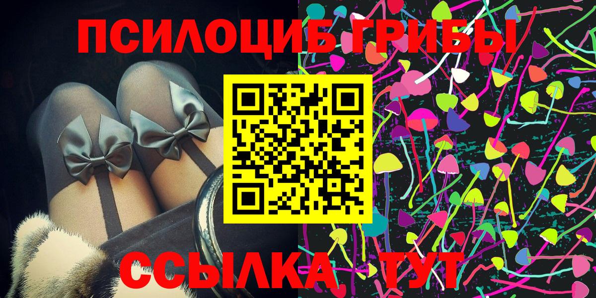 Балашиха  Псилоцибиновые грибы GOLDEN TEACHER  Вход с VPN 