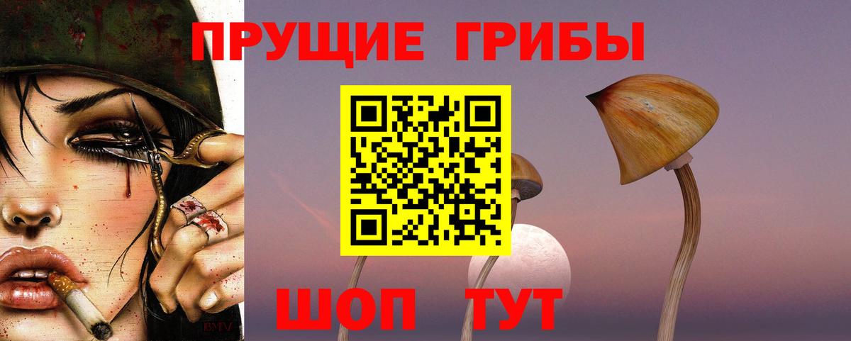 Галлюциногенные грибы Magic Shrooms Балашиха